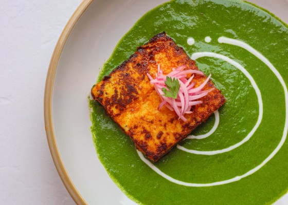 Paneer tikka with creamy palak gravy